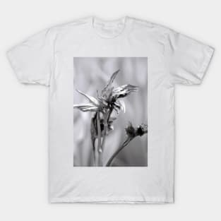 peony leaves unfurling T-Shirt